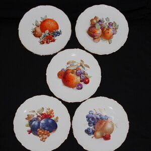 Arzberg Desert Plates Set of 5